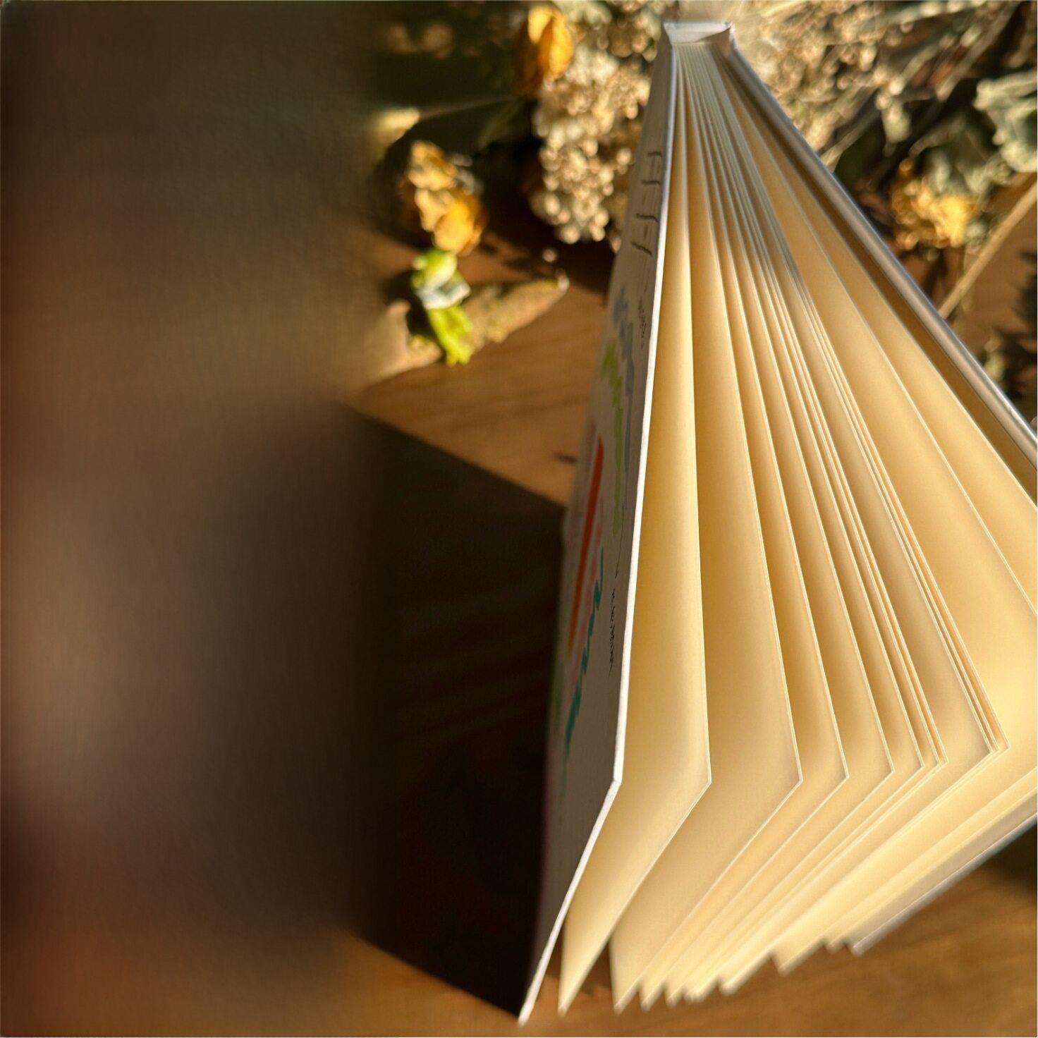 손으로 그린 하드커버 아코디언 페이지 노트북, 창의적인 - Journal Leather Hardcover 리뷰 및 가격